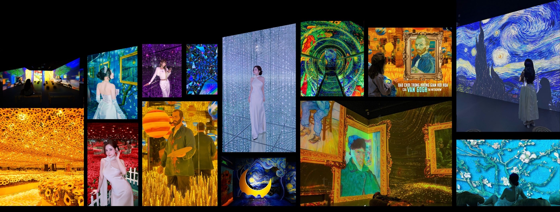 gioi-thieu-ve-metashow