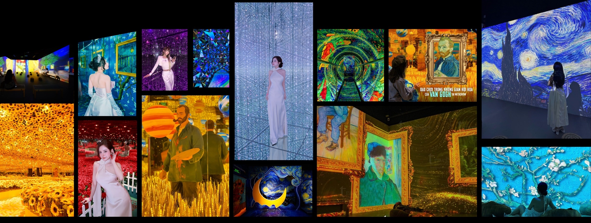 Metashow Immersive Art Exhibition
